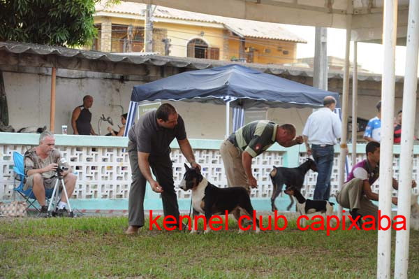 Clique sobre a foto para fechar